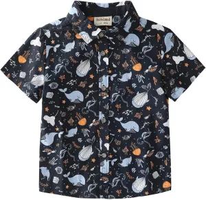 MOMOLAND Toddler Boys Short Sleeves Button Down Shirt Linen Design